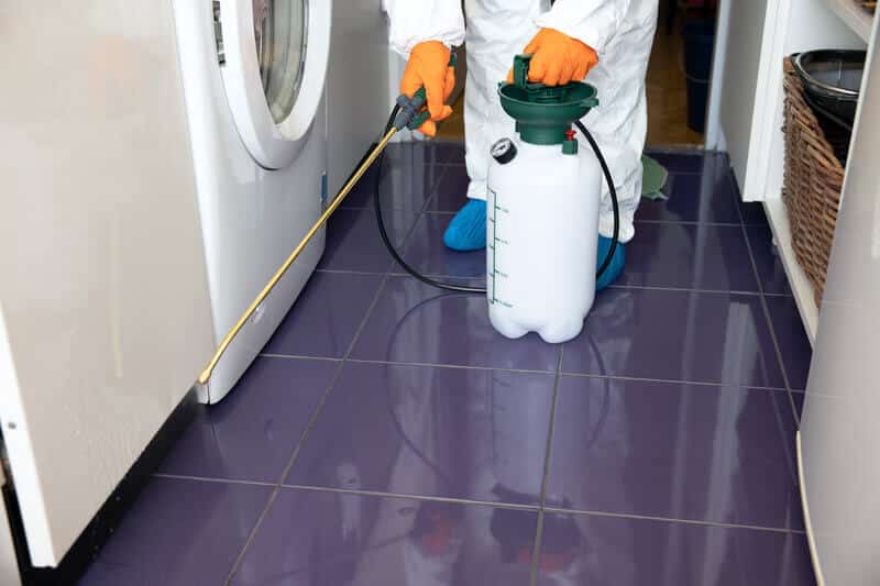 Pest Control Cape Town 2
